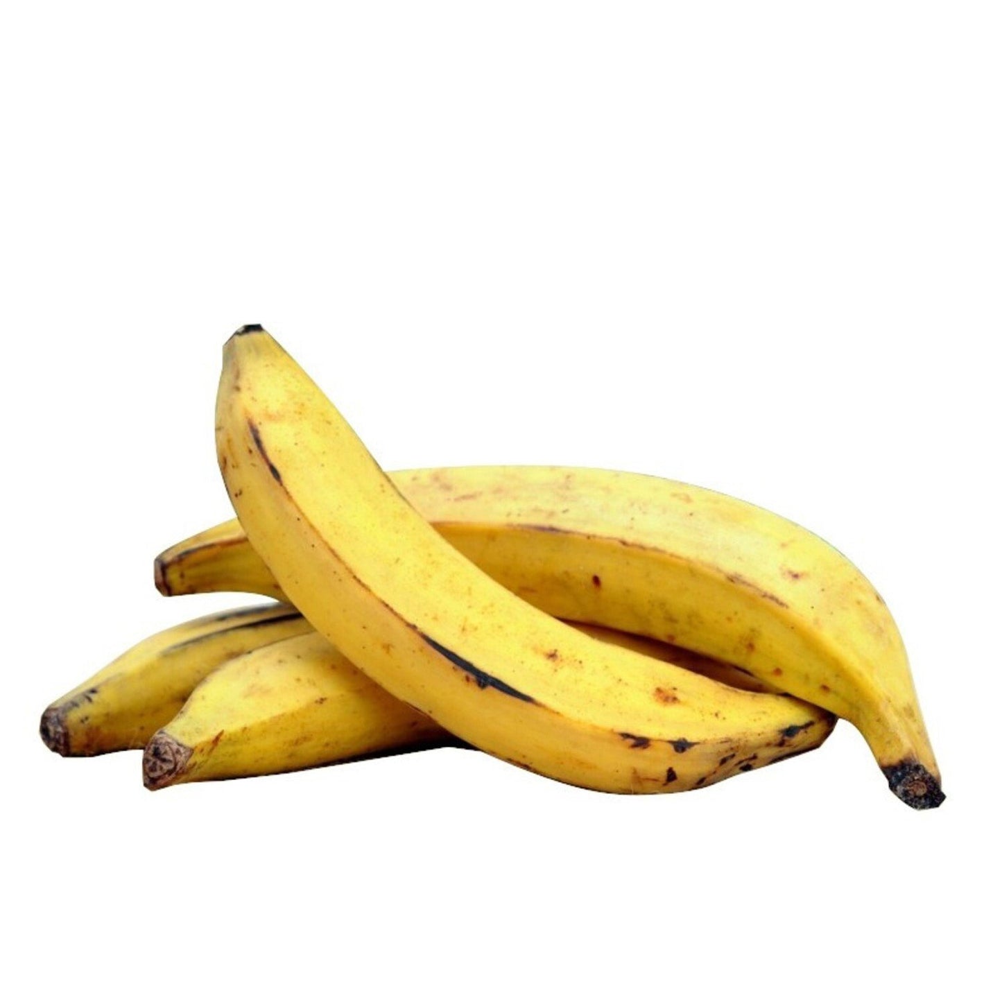 Banane Plantain legume le kg