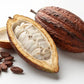CABOSSE CACAO GUADELOUPE
