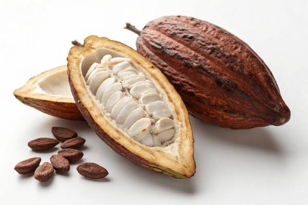 CABOSSE CACAO GUADELOUPE