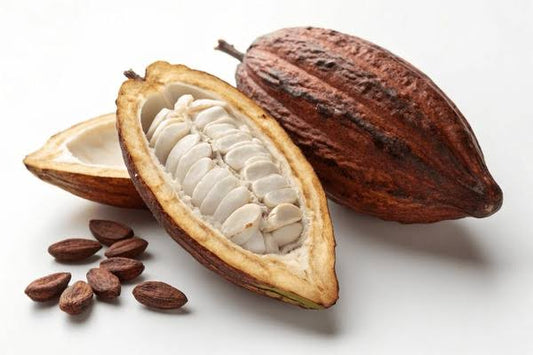 CABOSSE CACAO GUADELOUPE